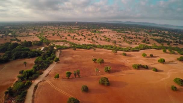 Volare Sopra Templi Bagan Mattino Myanmar Birmania — Video Stock