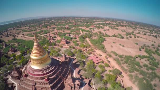 在缅甸Bagan 的Dhamma Pagoda和Temples上空盘旋 — 图库视频影像