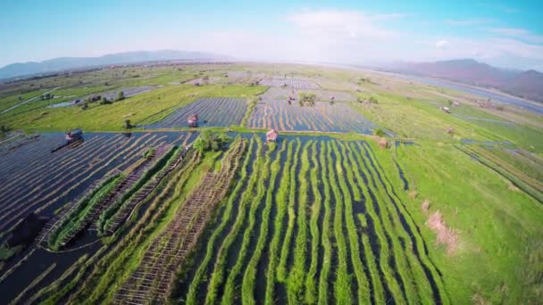 Repülő Kertek Felett Inle Lake Mianmar Burma — Stock videók