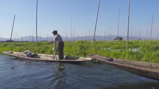Inle Lake Myanmar Februari 2016 Mensen Kanoën Werken Drijvende Tuinen — Stockvideo