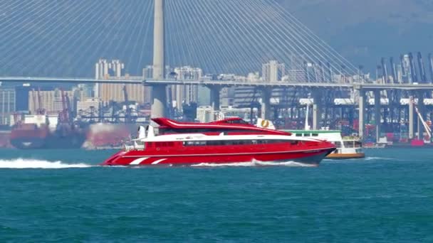 Hong Kong China February 2016 High Speed Ferry Boat Harbor — Stock Video