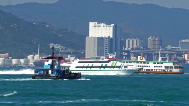 Χονγκ Κονγκ Κινα Φεβρουαριου 2016 Πλοίο Μεγάλης Ταχύτητας Στο Λιμάνι — Αρχείο Βίντεο