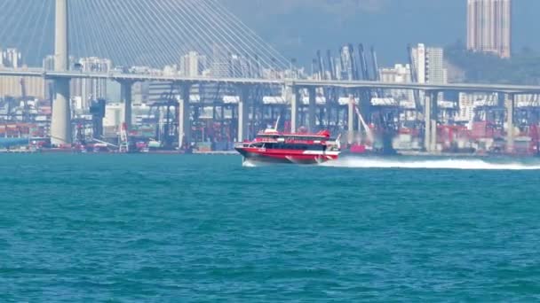 Hong Kong China February 2016 Швидкісний Поромний Човен Гавані Гонконг — стокове відео