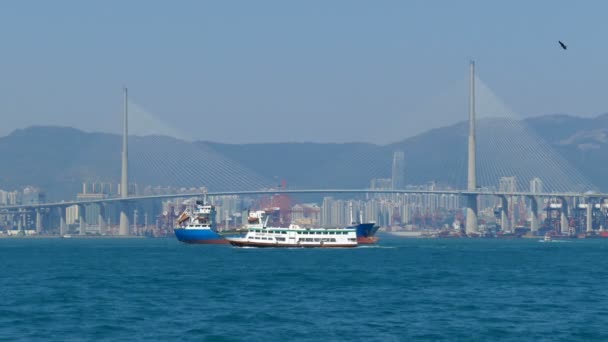 2016年2月8日 香港港とストーンカッターズ橋のフェリーボート — ストック動画