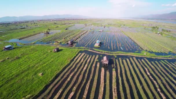 Repülő Kertek Felett Inle Lake Mianmar Burma — Stock videók