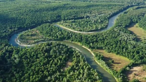 Flygfoto Över Slingrande Floden Hoper Skogen Ryssland — Stockvideo