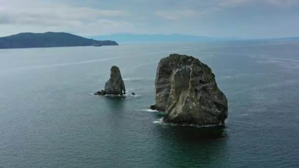 Avacha Körfezi Kamçatka Yarımadası Rusya — Stok video
