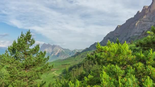 Hermoso Paisaje Verano Con Pinos Las Montañas Del Cáucaso República — Vídeos de Stock