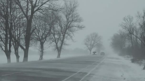 Автомобілі Рухаються Зимовій Дорозі Заметіль — стокове відео