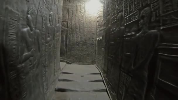 Chodzę Grobowcu Hieroglificzne Rzeźby Ścianie Starożytnego Egipskiego Grobowca — Wideo stockowe