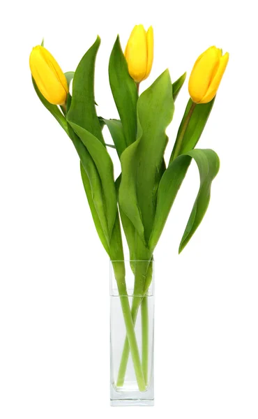 Bouquet of yellow tulips in glass vase — Stock Photo, Image