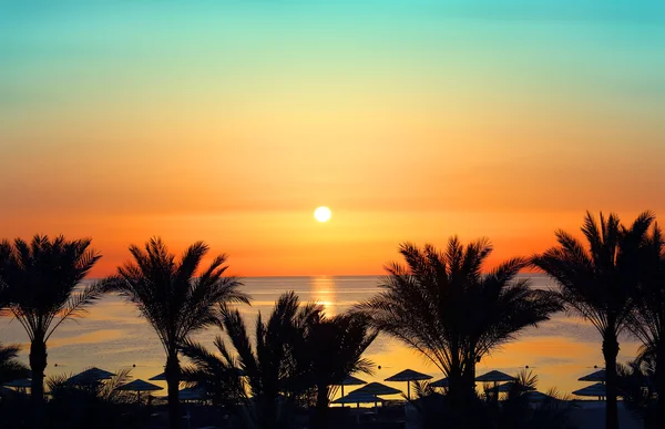 Palmy a východ slunce nad mořem — Stock fotografie