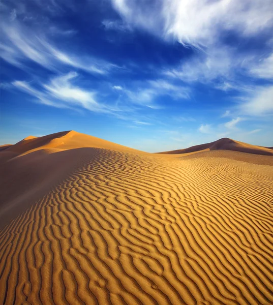 Evening desert landscape — Stock Photo, Image