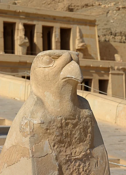 A temploma Hatsepszut egyiptomi Hórusz-szobor — Stock Fotó