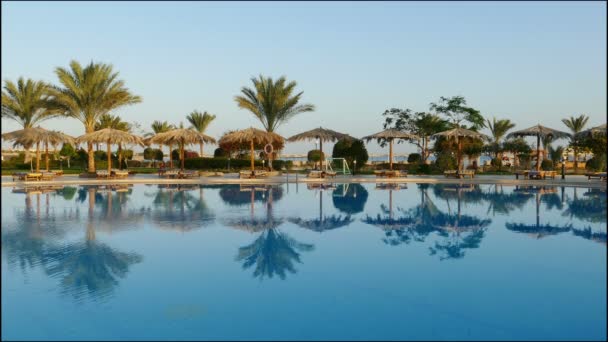 Piscina con palmeras — Vídeos de Stock