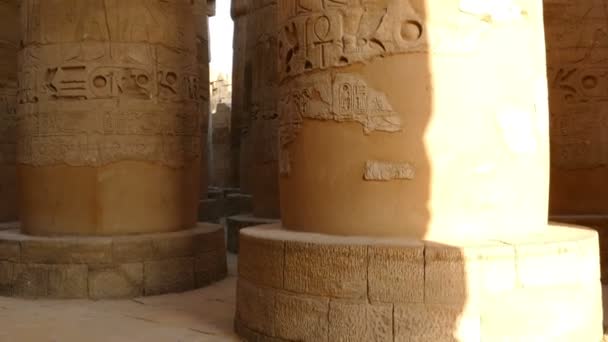 Columnas en el templo de Karnak — Vídeo de stock