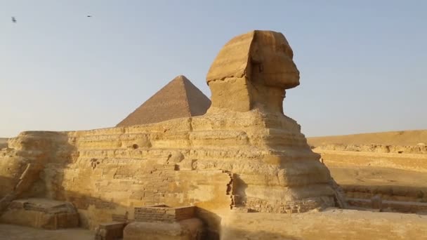Berühmte Sphinx und Cheops-Pyramide — Stockvideo