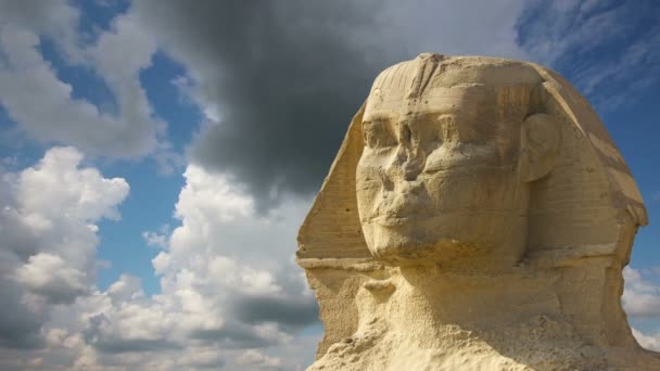 Sphinx huvud och moln — Stockvideo