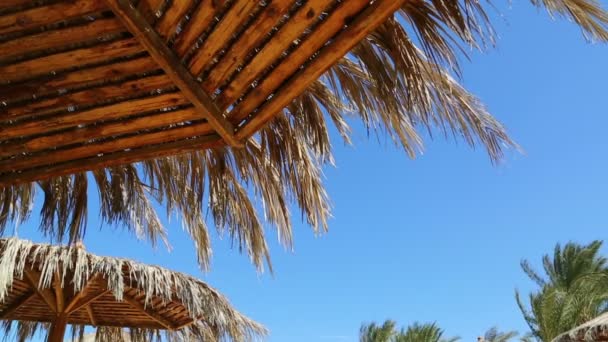 沙滩伞在天空 — 图库视频影像