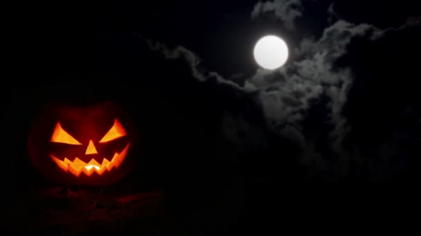 Halloween pumpkin at night — Stock Video