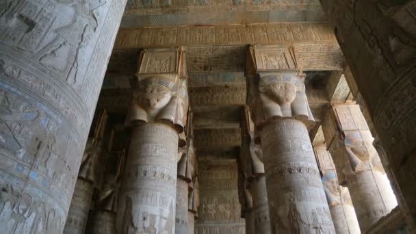 Hypostyle hall op Dendera tempel — Stockvideo