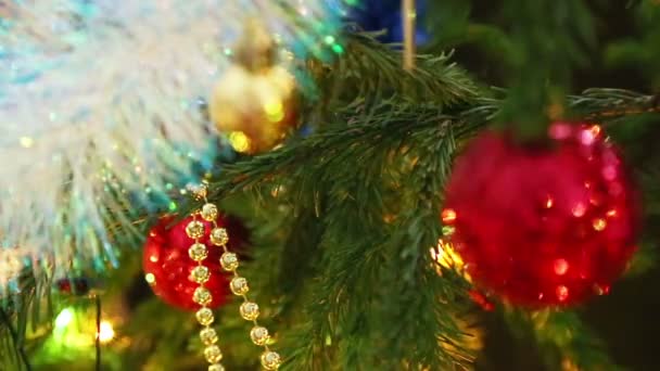 Christmas decorations on fir — Stock Video