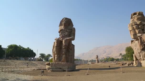 Kolossen av memnon gigantiska statyer — Stockvideo