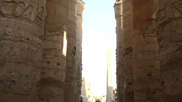 Columnas en el templo de Karnak — Vídeos de Stock