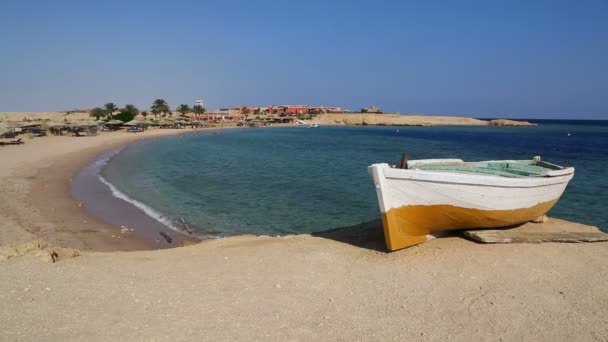 Karang karang di egypt — Stok Video