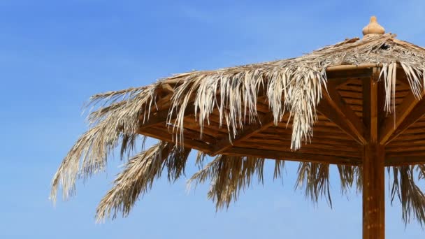 Paraguas de playa sobre el cielo — Vídeos de Stock