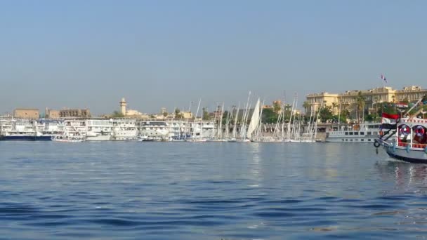 Touristic boats on Nile river — Stock Video