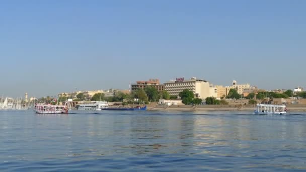 Touristic boats on Nile river — Stock Video