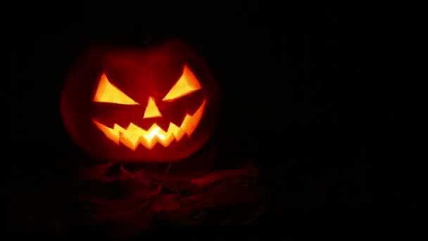 Zucca di Halloween di notte — Video Stock