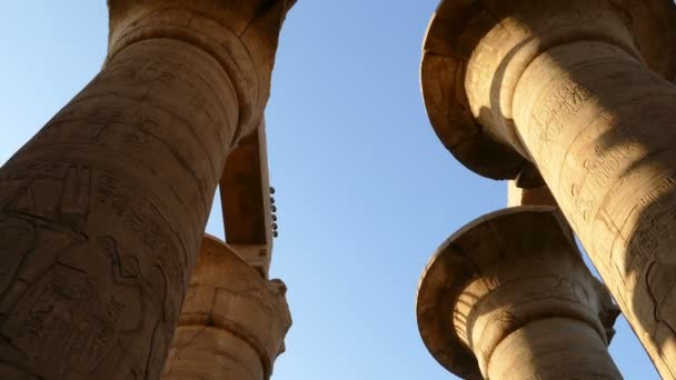 Columns in karnak temple — Stock Video