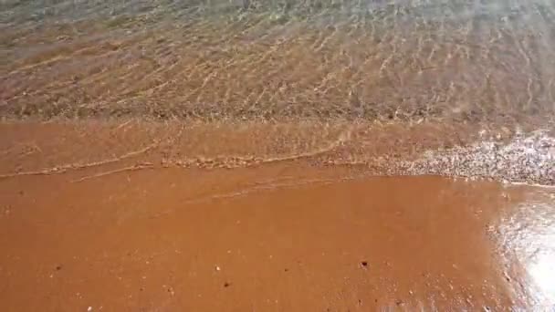 Meer am goldenen Sandstrand — Stockvideo