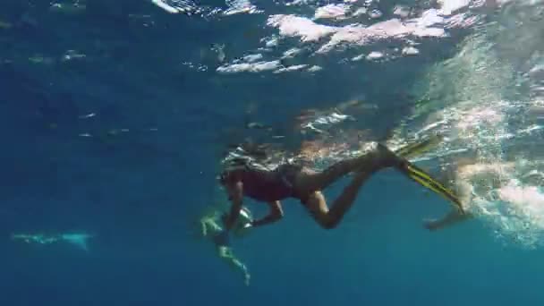 Pessoas snorkelling subaquático — Vídeo de Stock