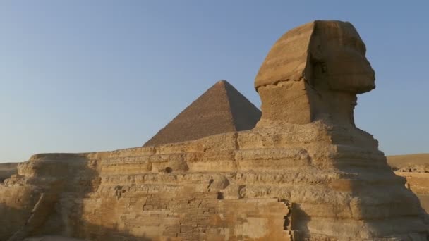 Famosa Sfinge e piramide di Cheope — Video Stock