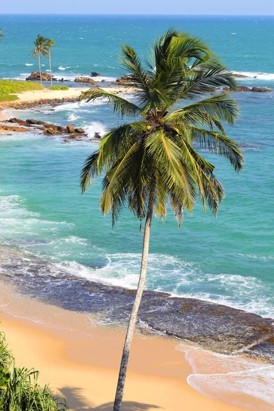 Hermoso paisaje de playa tropical con palmera — Foto de Stock