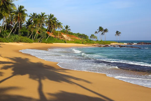 Tropical beach at sunset with palm shadows — Stock Photo, Image