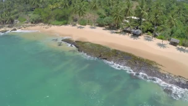 Praia de resort tropical com palmeiras — Vídeo de Stock