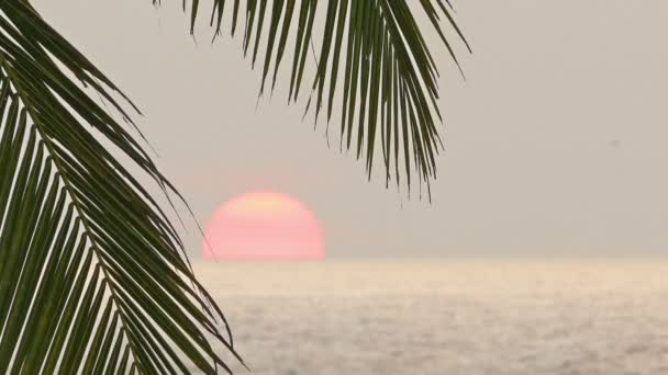 Zachód słońca z pięknym widokiem na morze — Wideo stockowe