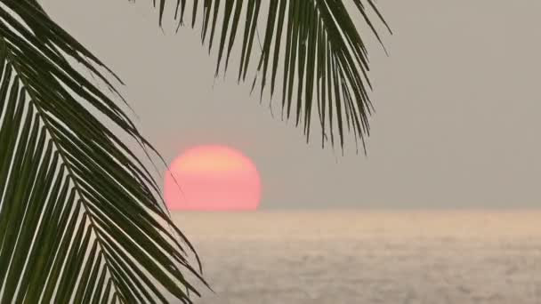 Schöner Sonnenuntergang am Meer — Stockvideo