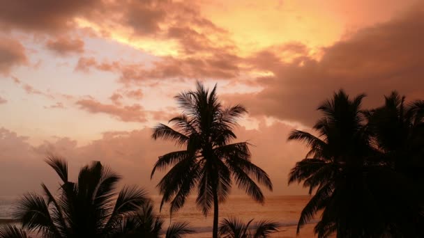 Paisaje con puesta de sol de mar tropical — Vídeos de Stock