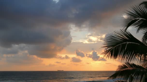 Hermosa puesta de sol mar — Vídeo de stock