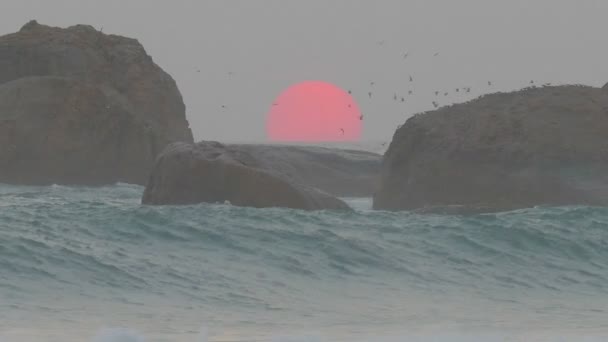 Red sun is setting in the sea — Stock Video