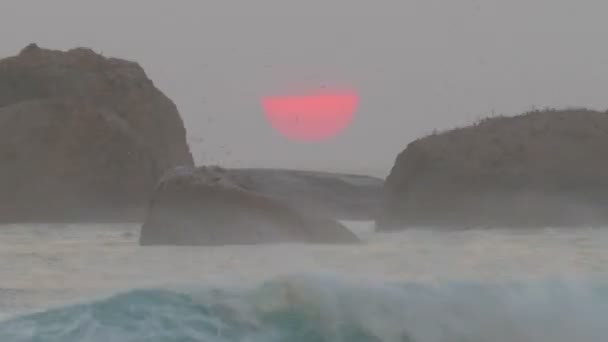 赤い太陽が海に沈み — ストック動画