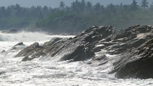 Waves crashing on beach — Stock Video