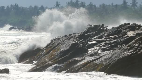 Bølger som krasjer på stranden – stockvideo