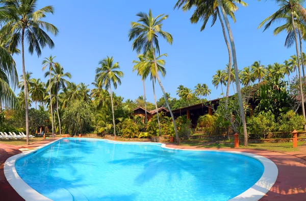Piscina con palmeras en el complejo tropical — Foto de Stock