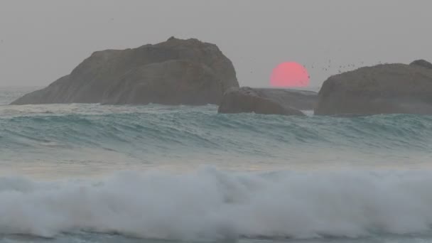 Grote rode zon in de zee — Stockvideo